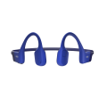 OpenRun_Blue_01.png