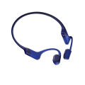 OpenRun_Blue_03.png
